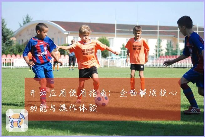 开云应用使用指南：全面解读核心功能与操作体验